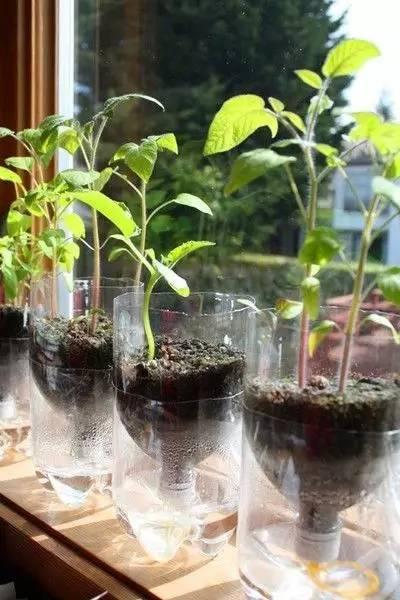 自制便攜收納盒,你家閑置的飲料瓶還能做這些？！