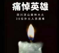 陽光甚好，是有人為我們擋住了黑暗...