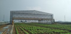 3.12植樹節(jié)，人人參與—靖起起重機(jī)生產(chǎn)廠家